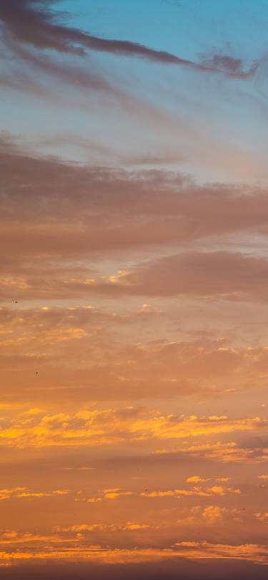 header-bg-for-mobile