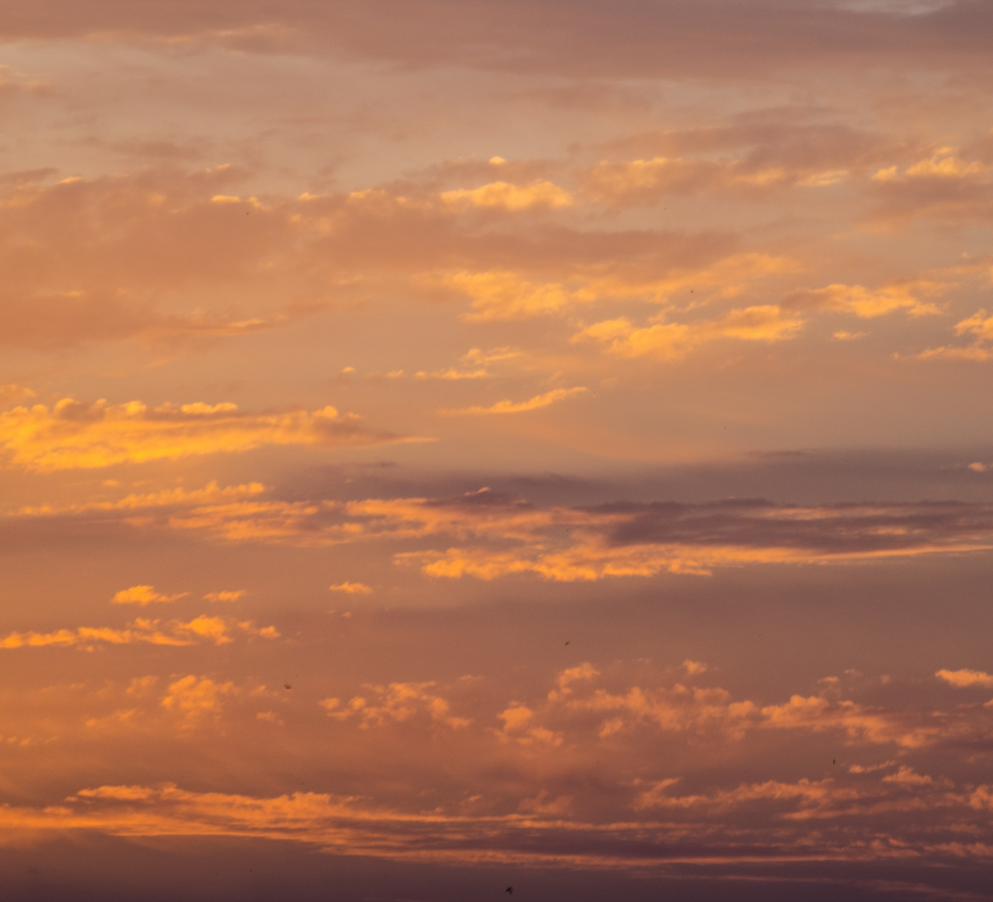 header-bg-desktop